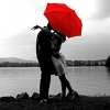 Icon 046