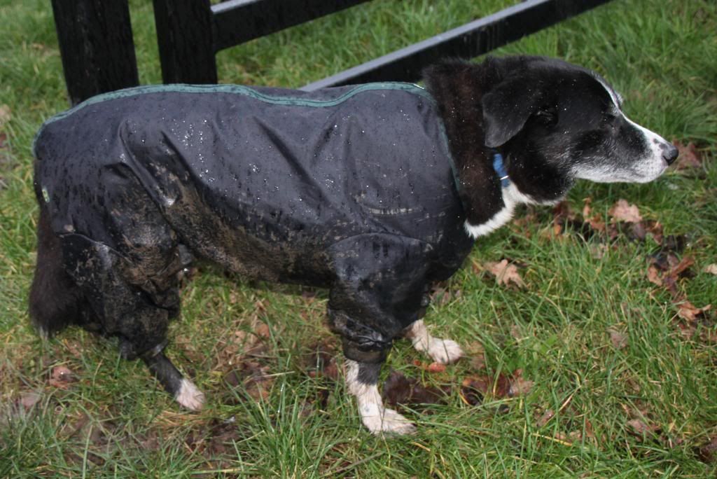 Jakey's allergy suit/onesie sort of thing....