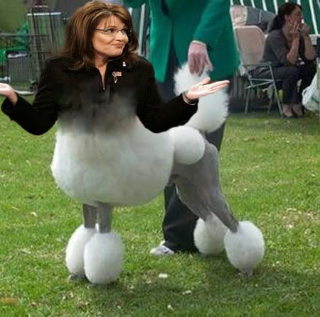 Palinpoodletaursmall.jpg