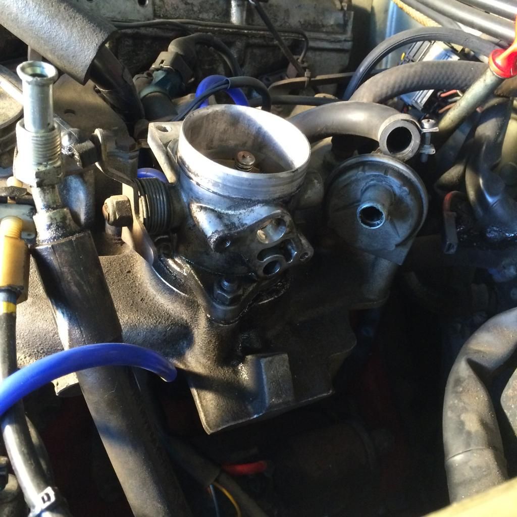 [Afbeelding: BB4CD8C0-1856-466B-9C74-940B1508E8BA_zpsgyjn1m1h.jpg]