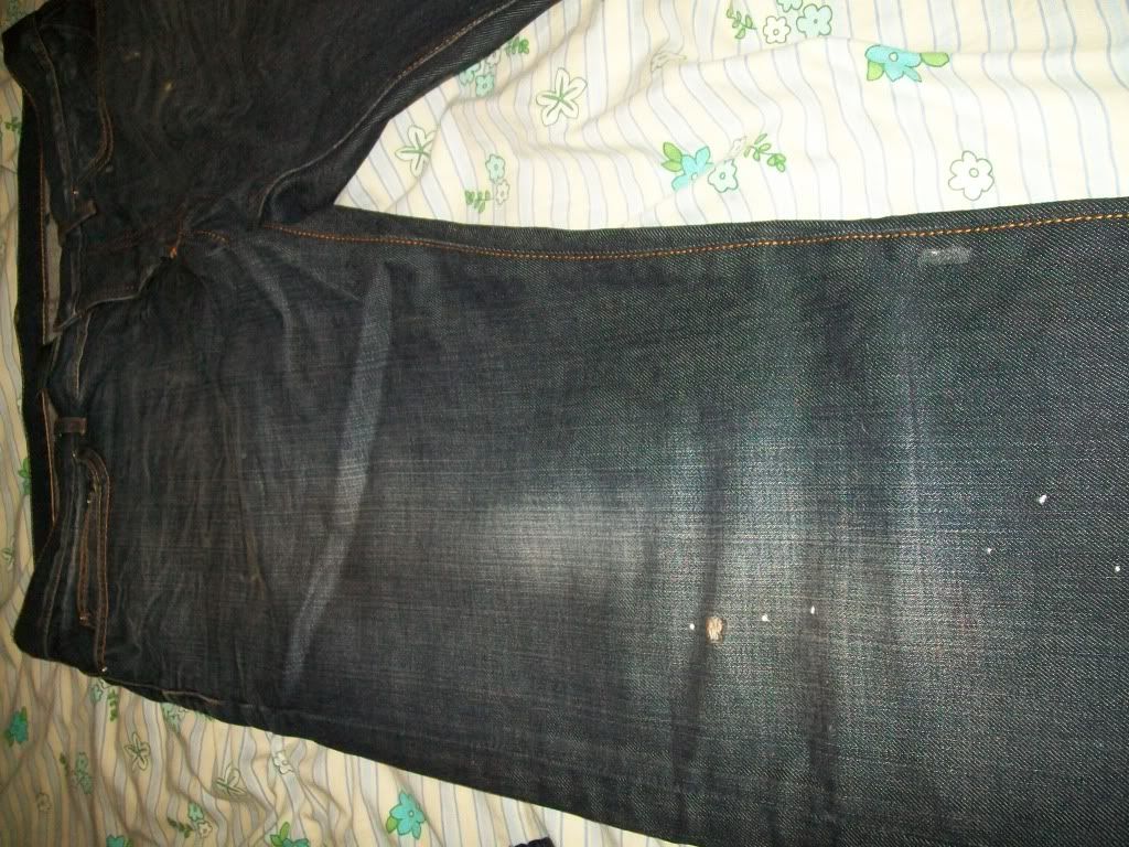 100_4841.jpg