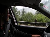 Bear on the way Bear on the way