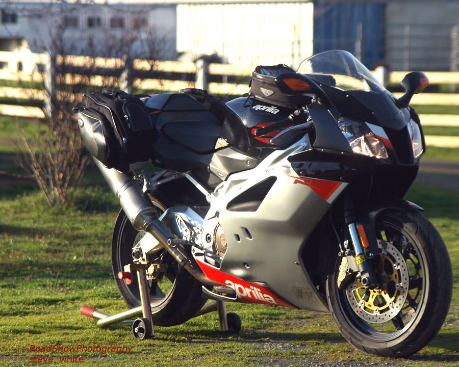 RSVR & RSVR Factory (2004-2009) Photo Gallery - Page 129