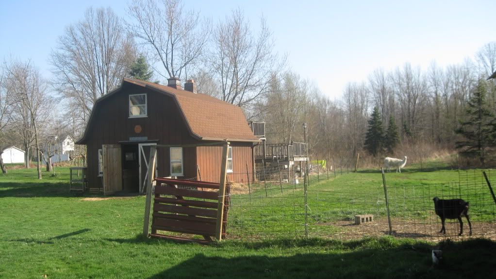Nutmeg Farm {pics from here} pic heavy** ) The Goat Spot Forum