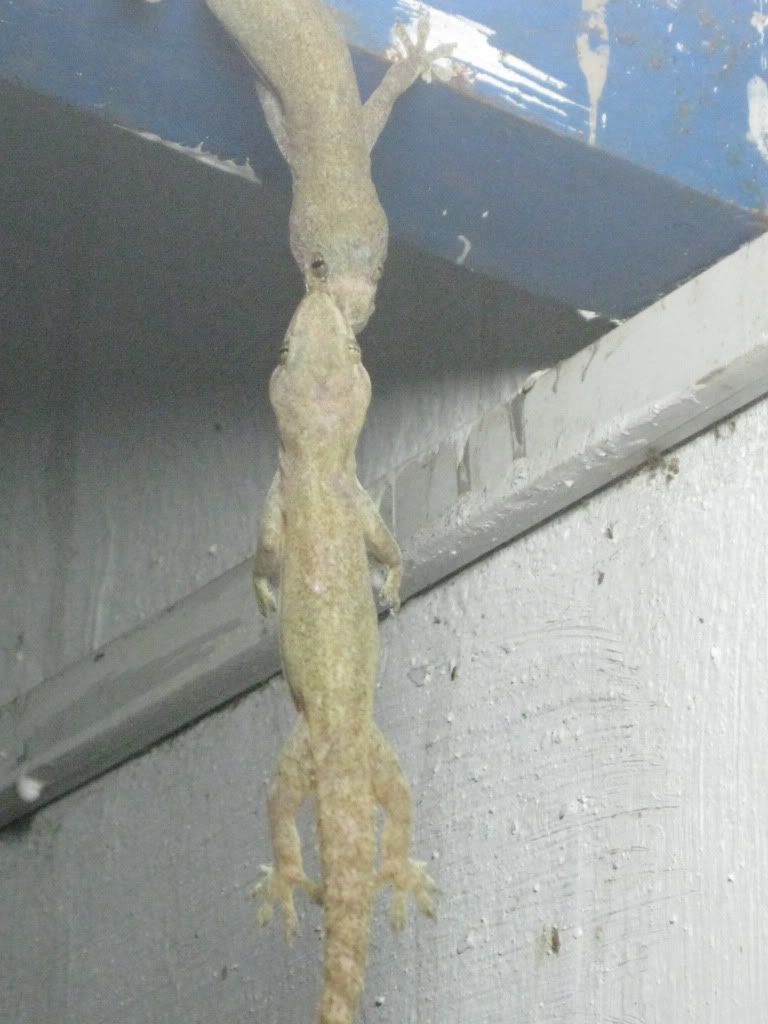 giây phút sinh tử