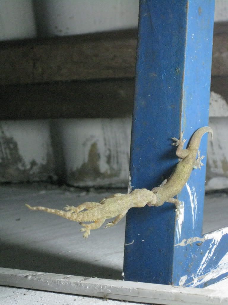 giây phút sinh tử - 2