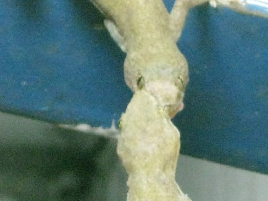 giây phút sinh tử - 1