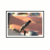 Icon 004