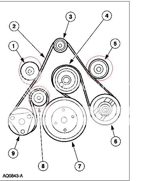 Accessory belt diagram | Lightning Rodder