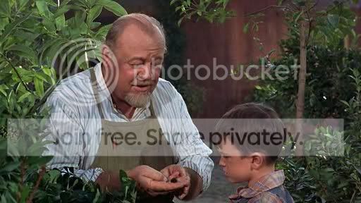 SummerMagic19633.jpg